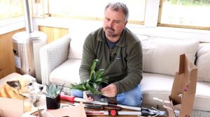 Plant Delights Nursery Unboxing - Agave, Epimedium, Rohdea