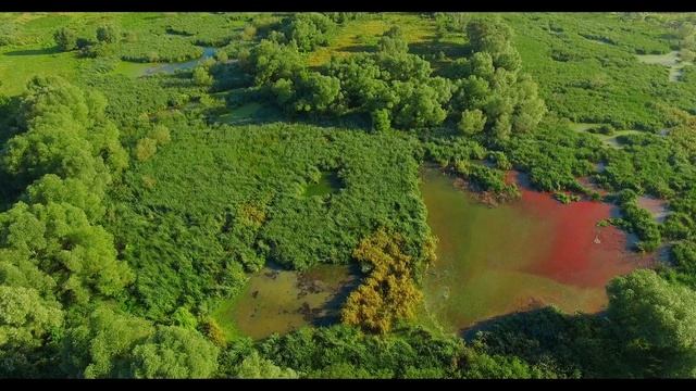 #экологическая#катастрофа#шок смотреть онлайн