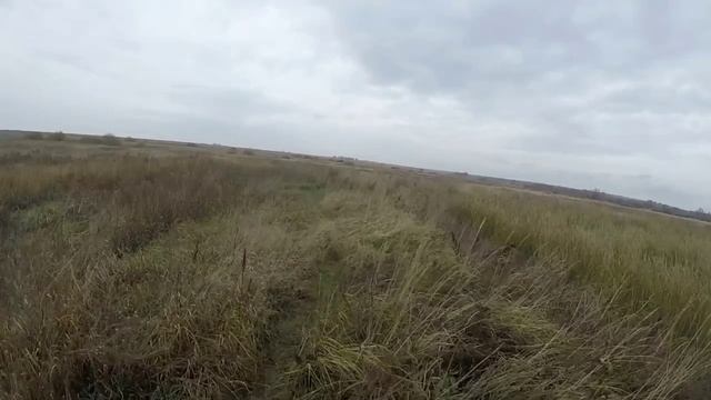 Утка пошла! смотреть онлайн