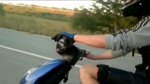 Стантрайдинг. Обычный китайский скутер 50 кубов. Видео отчет. Scooter Stunt 2012