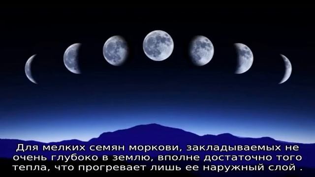 Благоприятные дни для посадки моркови