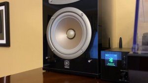 Yamaha NS-333 Bass Test