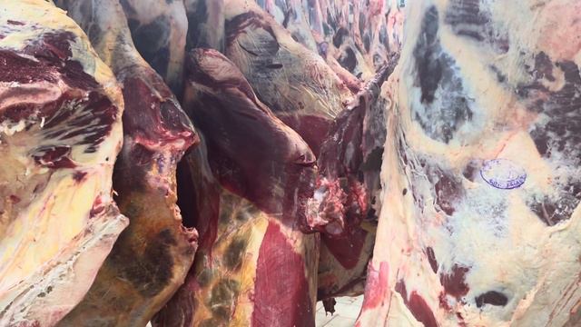 Говядина 1 категории  кулинарная коровы  .