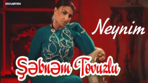 Şəbnəm Tovuzlu - Neynim (Yeni 2024)
