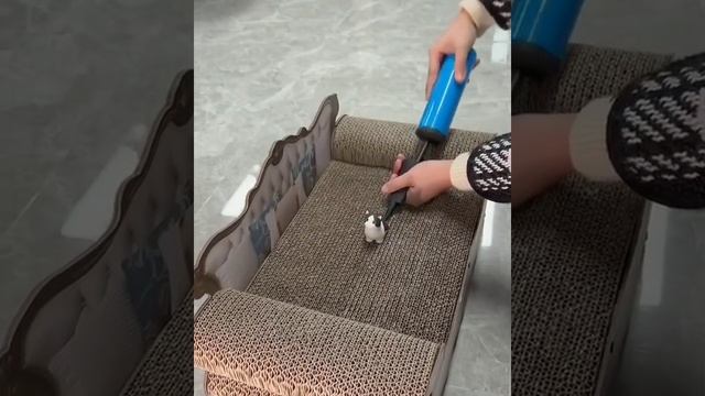 ДомашниеПитомцы