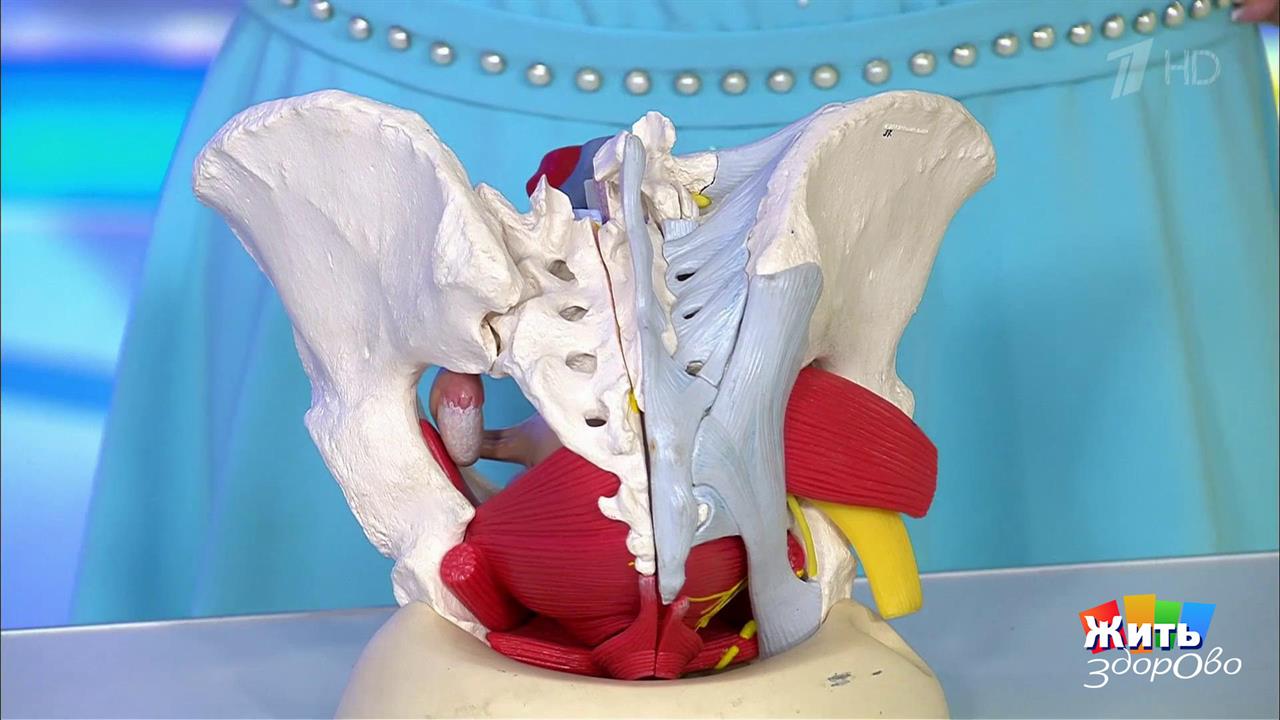 Боль в пояснице у женщин. Жить здорово! Фрагмент выпуска от 27.11.2017 смотреть онлайн