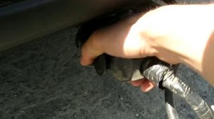 Фаркоп на форд фокус 3, модуль управления прицепом.