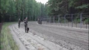 Пограничники