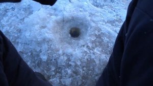 Рыбалка на реке Зея. Конь Губарь!