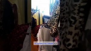 Видео-отзыв от 25 апреля 2024 года