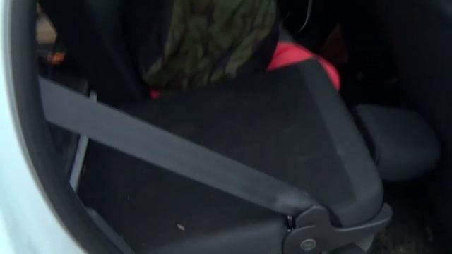 Мы завели собаку. #Веймаранер. Часть 4. смотреть онлайн