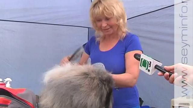 Международная выставка собак прошла в местечке Свобода смотреть онлайн