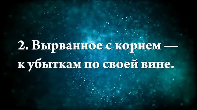К чему снится большое дерево - Онлайн Сонник Эксперт смотреть онлайн