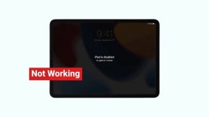 [2024 Newest]How to Enter/Exit Recovery Mode on iPad|support.apple.com/ipad/restore
