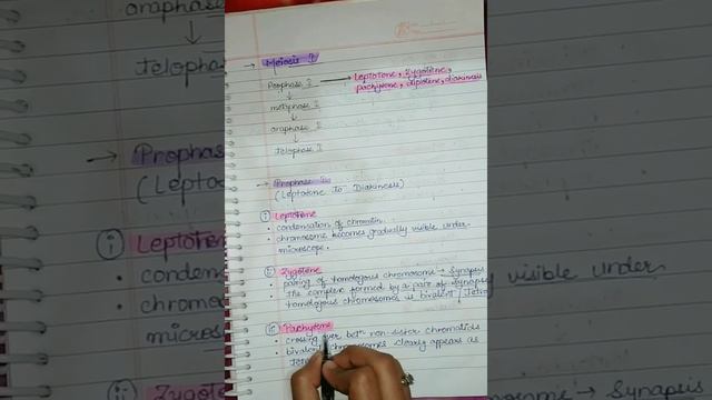 Meiosis 1 | Cell Cycle and Cell Division Class 11 Chapter 10 #ncertdecode #biology