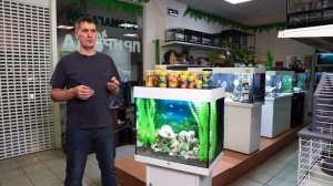 Как правильно кормить аквариумных рыбок | Советы аквариумиста