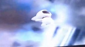 Monk Little Dog - Super Saiyan