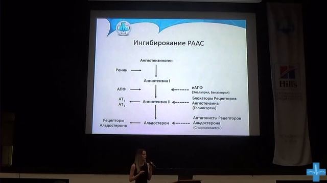 Протеинурия у собак и кошек смотреть онлайн