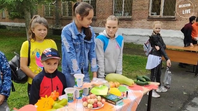 Осенняя ярмарка в школе №1 | Новости города Шелехов и Шелеховского района смотреть онлайн