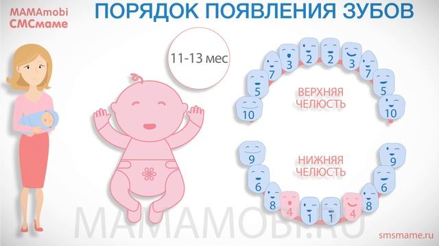 Режутся зубки 2019. Каковы признаки прорезывания зубов и что делать маме?