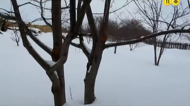 Последний день зимы