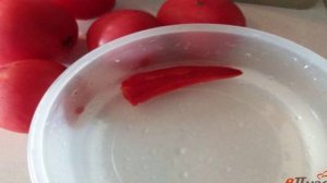 Шакароб салат из помидор к плову