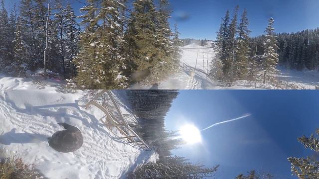 360 VR Trestle Walk with Luka - My White Dire Wolf смотреть онлайн