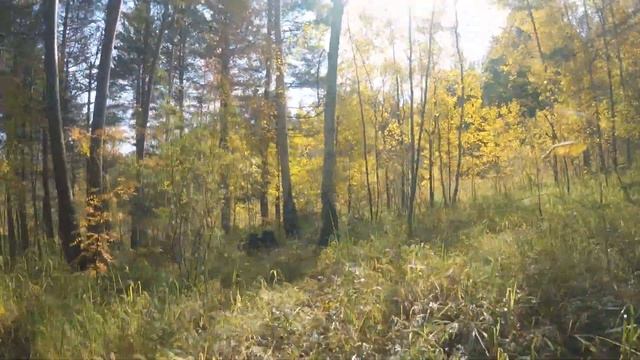 Основные скальники Олхинского плато. Часть 1 смотреть онлайн