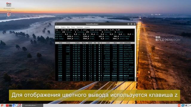 TOPим за процессы! Утилита мониторинга процессов top смотреть онлайн