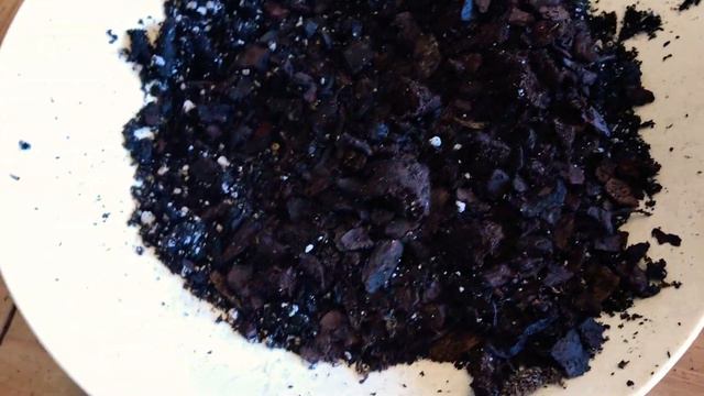 ¿COMO RESCATAR UNA ORQUÍDEA🥀 смотреть онлайн