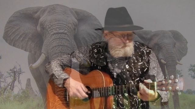 Why Me and David Attenborough Think Elephants are Best смотреть онлайн