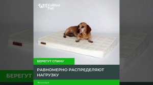 Настоящие❤ ортопедические матрасы для ?собак и ?кошек от KoMod Pet