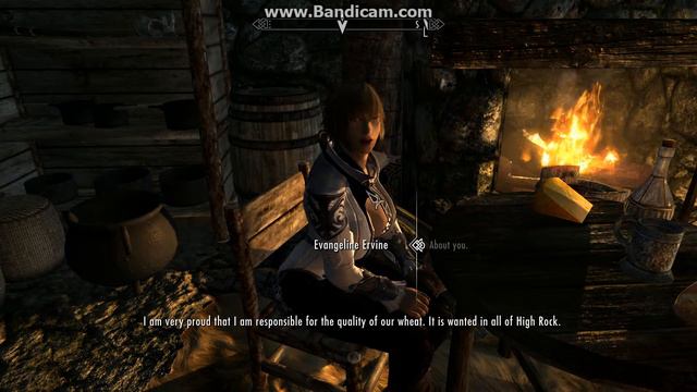 Evangeline - Bodyslide - Tera Armor - Talking about herself смотреть онлайн