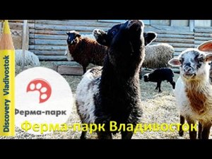 ЗООПАРК ? ФЕРМА-ПАРК ВЛАДИВОСТОК на Де Фризе