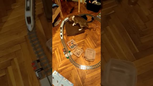 Кошка Аманда и поезд Lego смотреть онлайн