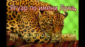 Интересные истории и факты про животных.