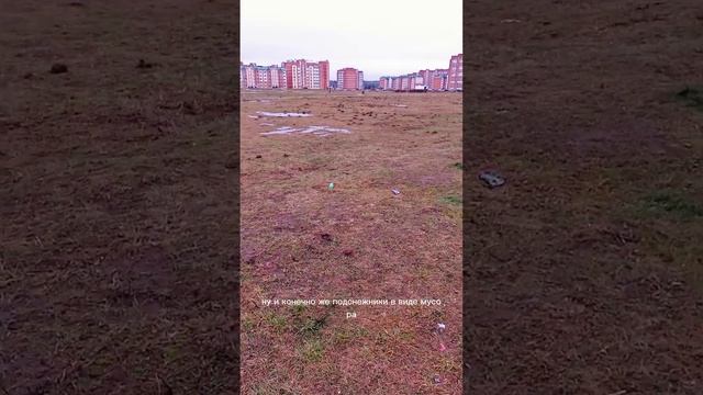 Беларусь. Полоцк. 02.01.2023 г.