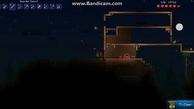Terraria-Первая ночь 3 смотреть онлайн
