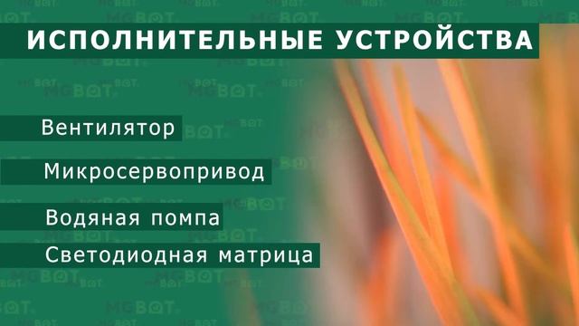 Набор "Умная Теплица ЙоТик М2"
