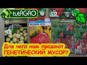 ШОК! Нам продают МУЖСКУЮ клубнику и МУСОР! Эти семена - деньги на ветер! Не покупайте ВЫБРАКОВКУ!