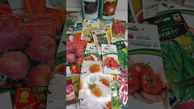 Профессиональные семена. Где купить.