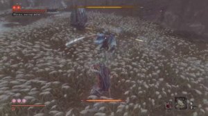 Sekiro. Иссин, мастер меча. Без получения урона