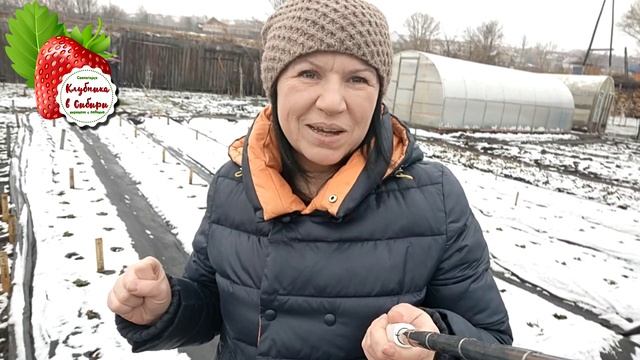 клубника2.mp4