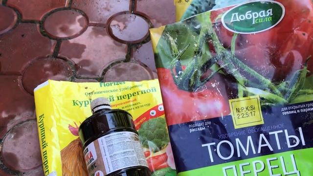 РОЗЫ. Весенние подкормки для роз - для пышного цветения. смотреть онлайн