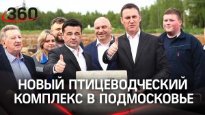 Иностранные бройлеры - в прошлом: селекция кур теперь в Подмосковье