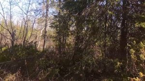 рыбалка в Ноябрьске 22.05.2022 часть 2  красота как в сказке.