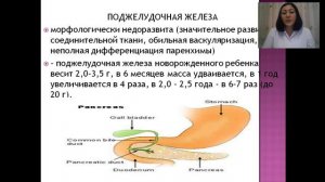 Анатомо физиологические особенности пищеварительной системы у детей Синдром рвоты и срыгивания