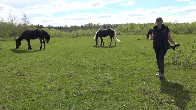 Итоги 2016 Проект "Русская серебристая" смотреть онлайн