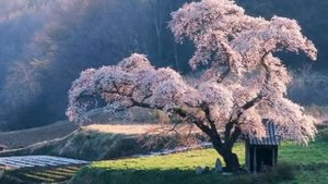 Ты знаешь, там не страшно...