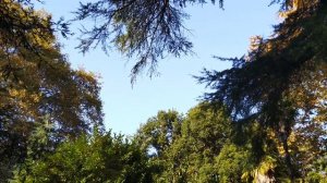 Адлер - Парк Южных Культур - Смотрим квартиры в Сочи